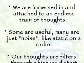 We are immersed in and attached to an endless train of thoughts.  Some are useful, many are just “noise”, like static on a radio. Our thoughts are filters through which we distort our perception of reality. 