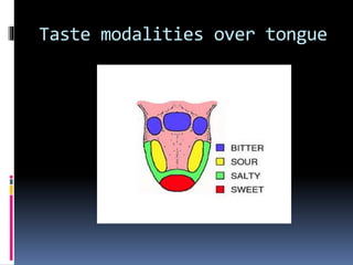 Taste ppt | PPTX