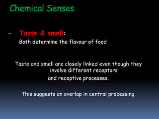 Chemical Senses
- Taste & smell:
Both determine the flavour of food
Taste and smell are closely linked even though they
involve different receptors
and receptive processes.
This suggests an overlap in central processing.
 