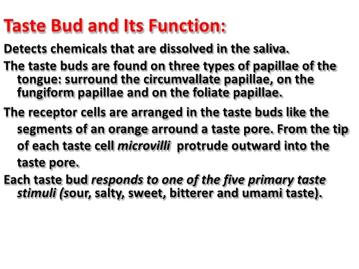 Taste Sensation