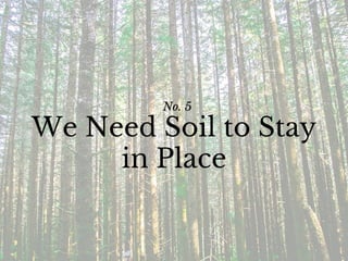 No. 5
We Need Soil to Stay
in Place
 