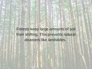 Forests keep large amounts of soil
from shifting. This prevents natural
disasters like landslides. 
 