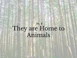 No. 6
They are Home to
Animals
 