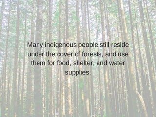 Many indigenous people still reside
under the cover of forests, and use
them for food, shelter, and water
supplies.
 