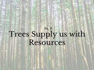 No. 9
Trees Supply us with
Resources
 
