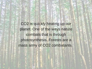 CO2 is quickly heating up our
planet. One of the ways nature
combats that is through
photosynthesis. Forests are a
mass army of CO2 combatants. 
 