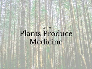 No. 3
Plants Produce
Medicine
 