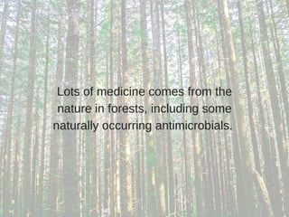 Lots of medicine comes from the
nature in forests, including some
naturally occurring antimicrobials. 
 