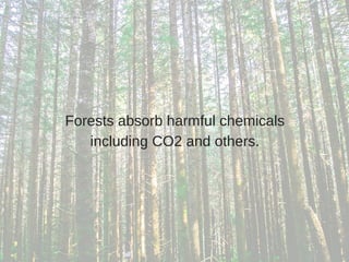 Forests absorb harmful chemicals
including CO2 and others.
 