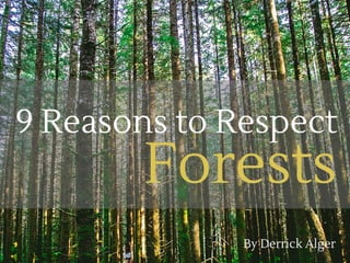 9 Reasons to Respect
Forests
By Derrick Alger
 