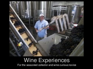 Wine Experiences
For the seasoned collector and wine curious novice

 