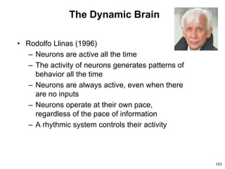 101
The Dynamic Brain
• Rodolfo Llinas (1996)
– Neurons are active all the time
– The activity of neurons generates patterns of
behavior all the time
– Neurons are always active, even when there
are no inputs
– Neurons operate at their own pace,
regardless of the pace of information
– A rhythmic system controls their activity
 