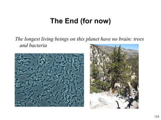 124
The End (for now)
The longest living beings on this planet have no brain: trees
and bacteria
 