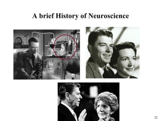 22
A brief History of Neuroscience
 