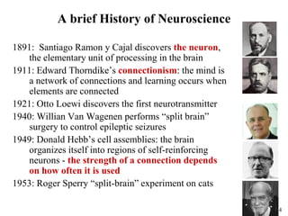 24
A brief History of Neuroscience
1891: Santiago Ramon y Cajal discovers the neuron,
the elementary unit of processing in the brain
1911: Edward Thorndike’s connectionism: the mind is
a network of connections and learning occurs when
elements are connected
1921: Otto Loewi discovers the first neurotransmitter
1940: Willian Van Wagenen performs “split brain”
surgery to control epileptic seizures
1949: Donald Hebb’s cell assemblies: the brain
organizes itself into regions of self-reinforcing
neurons - the strength of a connection depends
on how often it is used
1953: Roger Sperry “split-brain” experiment on cats
 