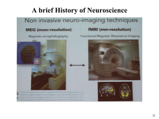31
A brief History of Neuroscience
 