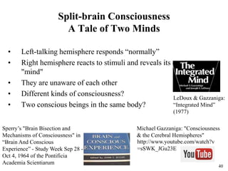 40
Split-brain Consciousness
A Tale of Two Minds
• Left-talking hemisphere responds “normally”
• Right hemisphere reacts to stimuli and reveals its own
"mind"
• They are unaware of each other
• Different kinds of consciousness?
• Two conscious beings in the same body?
LeDoux & Gazzaniga:
“Integrated Mind”
(1977)
Sperry’s "Brain Bisection and
Mechanisms of Consciousness" in
“Brain And Conscious
Experience” - Study Week Sep 28 -
Oct 4, 1964 of the Pontificia
Academia Scientiarum
Michael Gazzaniga: "Consciousness
& the Cerebral Hemispheres"
http://www.youtube.com/watch?v
=sSWK_JGu23E
 