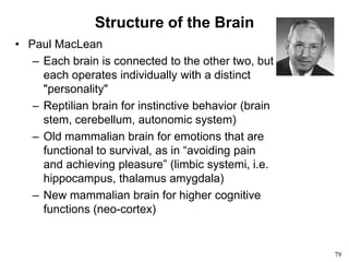 79
Structure of the Brain
• Paul MacLean
– Each brain is connected to the other two, but
each operates individually with a distinct
"personality"
– Reptilian brain for instinctive behavior (brain
stem, cerebellum, autonomic system)
– Old mammalian brain for emotions that are
functional to survival, as in “avoiding pain
and achieving pleasure” (limbic systemi, i.e.
hippocampus, thalamus amygdala)
– New mammalian brain for higher cognitive
functions (neo-cortex)
 