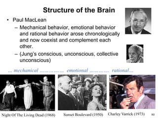 80
Structure of the Brain
• Paul MacLean
– Mechanical behavior, emotional behavior
and rational behavior arose chronologically
and now coexist and complement each
other.
– (Jung’s conscious, unconscious, collective
unconscious)
Night Of The Living Dead (1968) Sunset Boulevard (1950) Charley Varrick (1973)
… mechanical ………….… emotional …………. rational…
 
