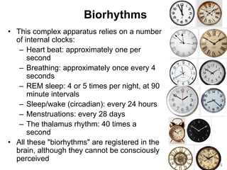 83
Biorhythms
• This complex apparatus relies on a number
of internal clocks:
– Heart beat: approximately one per
second
– Breathing: approximately once every 4
seconds
– REM sleep: 4 or 5 times per night, at 90
minute intervals
– Sleep/wake (circadian): every 24 hours
– Menstruations: every 28 days
– The thalamus rhythm: 40 times a
second
• All these "biorhythms" are registered in the
brain, although they cannot be consciously
perceived
 