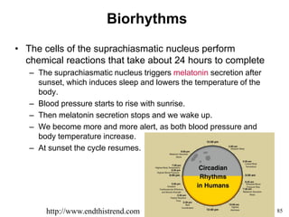 85
Biorhythms
• The cells of the suprachiasmatic nucleus perform
chemical reactions that take about 24 hours to complete
– The suprachiasmatic nucleus triggers melatonin secretion after
sunset, which induces sleep and lowers the temperature of the
body.
– Blood pressure starts to rise with sunrise.
– Then melatonin secretion stops and we wake up.
– We become more and more alert, as both blood pressure and
body temperature increase.
– At sunset the cycle resumes.
http://www.endthistrend.com
 