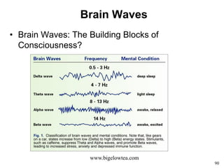 90
Brain Waves
• Brain Waves: The Building Blocks of
Consciousness?
www.bigelowtea.com
 