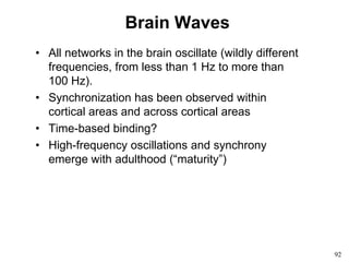 92
Brain Waves
• All networks in the brain oscillate (wildly different
frequencies, from less than 1 Hz to more than
100 Hz).
• Synchronization has been observed within
cortical areas and across cortical areas
• Time-based binding?
• High-frequency oscillations and synchrony
emerge with adulthood (“maturity”)
 