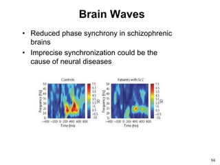 94
Brain Waves
• Reduced phase synchrony in schizophrenic
brains
• Imprecise synchronization could be the
cause of neural diseases
 