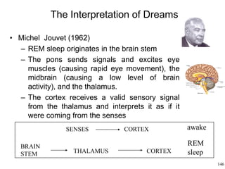 146
The Interpretation of Dreams
• Michel Jouvet (1962)
– REM sleep originates in the brain stem
– The pons sends signals and excites eye
muscles (causing rapid eye movement), the
midbrain (causing a low level of brain
activity), and the thalamus.
– The cortex receives a valid sensory signal
from the thalamus and interprets it as if it
were coming from the senses
BRAIN
STEM THALAMUS CORTEX
SENSES CORTEX awake
REM
sleep
 
