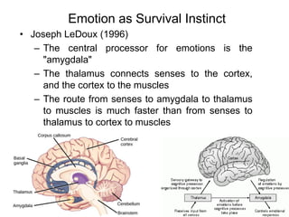 173
Emotion as Survival Instinct
• Joseph LeDoux (1996)
– The central processor for emotions is the
"amygdala"
– The thalamus connects senses to the cortex,
and the cortex to the muscles
– The route from senses to amygdala to thalamus
to muscles is much faster than from senses to
thalamus to cortex to muscles
 