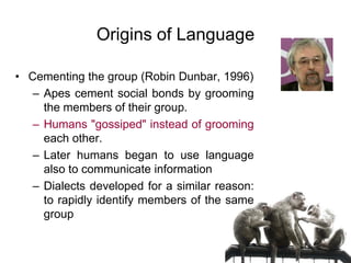74
Origins of Language
• Cementing the group (Robin Dunbar, 1996)
– Apes cement social bonds by grooming
the members of their group.
– Humans "gossiped" instead of grooming
each other.
– Later humans began to use language
also to communicate information
– Dialects developed for a similar reason:
to rapidly identify members of the same
group
 