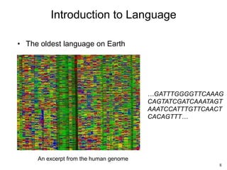 8
Introduction to Language
• The oldest language on Earth
An excerpt from the human genome
…GATTTGGGGTTCAAAG
CAGTATCGATCAAATAGT
AAATCCATTTGTTCAACT
CACAGTTT…
 