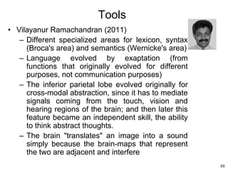 88
Tools
• Vilayanur Ramachandran (2011)
– Different specialized areas for lexicon, syntax
(Broca's area) and semantics (Wernicke's area)
– Language evolved by exaptation (from
functions that originally evolved for different
purposes, not communication purposes)
– The inferior parietal lobe evolved originally for
cross-modal abstraction, since it has to mediate
signals coming from the touch, vision and
hearing regions of the brain; and then later this
feature became an independent skill, the ability
to think abstract thoughts.
– The brain "translates" an image into a sound
simply because the brain-maps that represent
the two are adjacent and interfere
 