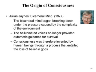103
The Origin of Consciousness
• Julian Jaynes’ Bicameral Mind (1977)
– The bicameral mind began breaking down
under the pressure caused by the complexity
of the environment
– The hallucinated voices no longer provided
automatic guidance for survival
– Consciousness was therefore invented by
human beings through a process that entailed
the loss of belief in gods
 