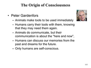 115
The Origin of Consciousness
• Peter Gardenfors
– Animals make tools to be used immediately
– Humans carry their tools with them, knowing
that they may need them again.
– Animals do communicate, but their
communication is about the "here and now",
– Humans can discuss our memories from the
past and dreams for the future.
– Only humans are self-conscious.
 