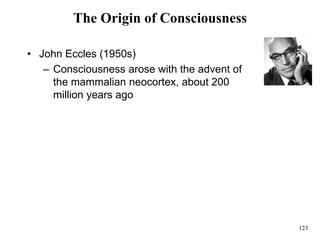 123
The Origin of Consciousness
• John Eccles (1950s)
– Consciousness arose with the advent of
the mammalian neocortex, about 200
million years ago
 