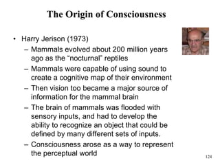 124
The Origin of Consciousness
• Harry Jerison (1973)
– Mammals evolved about 200 million years
ago as the “nocturnal” reptiles
– Mammals were capable of using sound to
create a cognitive map of their environment
– Then vision too became a major source of
information for the mammal brain
– The brain of mammals was flooded with
sensory inputs, and had to develop the
ability to recognize an object that could be
defined by many different sets of inputs.
– Consciousness arose as a way to represent
the perceptual world
 
