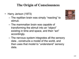 125
The Origin of Consciousness
• Harry Jerison (1973)
– The reptilian brain was simply “reacting” to
stimuli.
– The mammalian brain was capable of
transforming the stimuli into an “object”
existing in time and space, and then “act”
accordingly.
– The nervous system integrates all the sensory
data , constructs a model of the world, and
then uses that model to “understand” sensory
data.
 