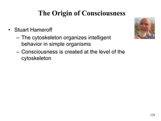 128
The Origin of Consciousness
• Stuart Hameroff
– The cytoskeleton organizes intelligent
behavior in simple organisms
– Consciousness is created at the level of the
cytoskeleton
 