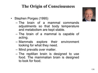 130
The Origin of Consciousness
• Stephen Porges (1995)
– The brain of a mammal commands
adjustments so that body temperature
and metabolism are kept stable.
– The brain of a mammal is capable of
acting.
– Mammals explore their environment
looking for what they need.
– Mind prevails over matter.
– The reptilian brain is designed to use
food. The mammalian brain is designed
to look for food.
 