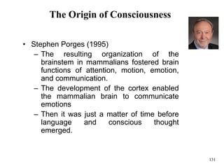 131
The Origin of Consciousness
• Stephen Porges (1995)
– The resulting organization of the
brainstem in mammalians fostered brain
functions of attention, motion, emotion,
and communication.
– The development of the cortex enabled
the mammalian brain to communicate
emotions
– Then it was just a matter of time before
language and conscious thought
emerged.
 