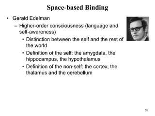 28
Space-based Binding
• Gerald Edelman
– Higher-order consciousness (language and
self-awareness)
• Distinction between the self and the rest of
the world
• Definition of the self: the amygdala, the
hippocampus, the hypothalamus
• Definition of the non-self: the cortex, the
thalamus and the cerebellum
 