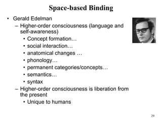 29
Space-based Binding
• Gerald Edelman
– Higher-order consciousness (language and
self-awareness)
• Concept formation…
• social interaction…
• anatomical changes …
• phonology…
• permanent categories/concepts…
• semantics…
• syntax
– Higher-order consciousness is liberation from
the present
• Unique to humans
 