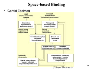 30
Space-based Binding
• Gerald Edelman
(©Susan Blackmore)
 
