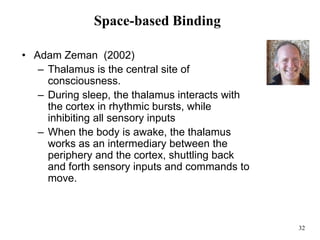 32
Space-based Binding
• Adam Zeman (2002)
– Thalamus is the central site of
consciousness.
– During sleep, the thalamus interacts with
the cortex in rhythmic bursts, while
inhibiting all sensory inputs
– When the body is awake, the thalamus
works as an intermediary between the
periphery and the cortex, shuttling back
and forth sensory inputs and commands to
move.
 