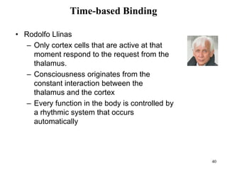40
Time-based Binding
• Rodolfo Llinas
– Only cortex cells that are active at that
moment respond to the request from the
thalamus.
– Consciousness originates from the
constant interaction between the
thalamus and the cortex
– Every function in the body is controlled by
a rhythmic system that occurs
automatically
 