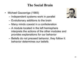 43
The Social Brain
• Michael Gazzaniga (1985)
– Independent systems work in parallel
– Evolutionary additions to the brain
– Many minds coexist in a confederation
– A module located in the left hemisphere
interprets the actions of the other modules and
provides explanations for our behavior
– Beliefs do not preceed behavior, they follow it:
behavior determines our beliefs
 