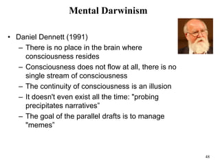 48
Mental Darwinism
• Daniel Dennett (1991)
– There is no place in the brain where
consciousness resides
– Consciousness does not flow at all, there is no
single stream of consciousness
– The continuity of consciousness is an illusion
– It doesn't even exist all the time: "probing
precipitates narratives”
– The goal of the parallel drafts is to manage
"memes”
 