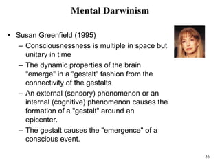 56
Mental Darwinism
• Susan Greenfield (1995)
– Consciousnessness is multiple in space but
unitary in time
– The dynamic properties of the brain
"emerge" in a "gestalt" fashion from the
connectivity of the gestalts
– An external (sensory) phenomenon or an
internal (cognitive) phenomenon causes the
formation of a "gestalt" around an
epicenter.
– The gestalt causes the "emergence" of a
conscious event.
 