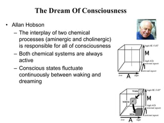 59
The Dream Of Consciousness
• Allan Hobson
– The interplay of two chemical
processes (aminergic and cholinergic)
is responsible for all of consciousness
– Both chemical systems are always
active
– Conscious states fluctuate
continuously between waking and
dreaming
 